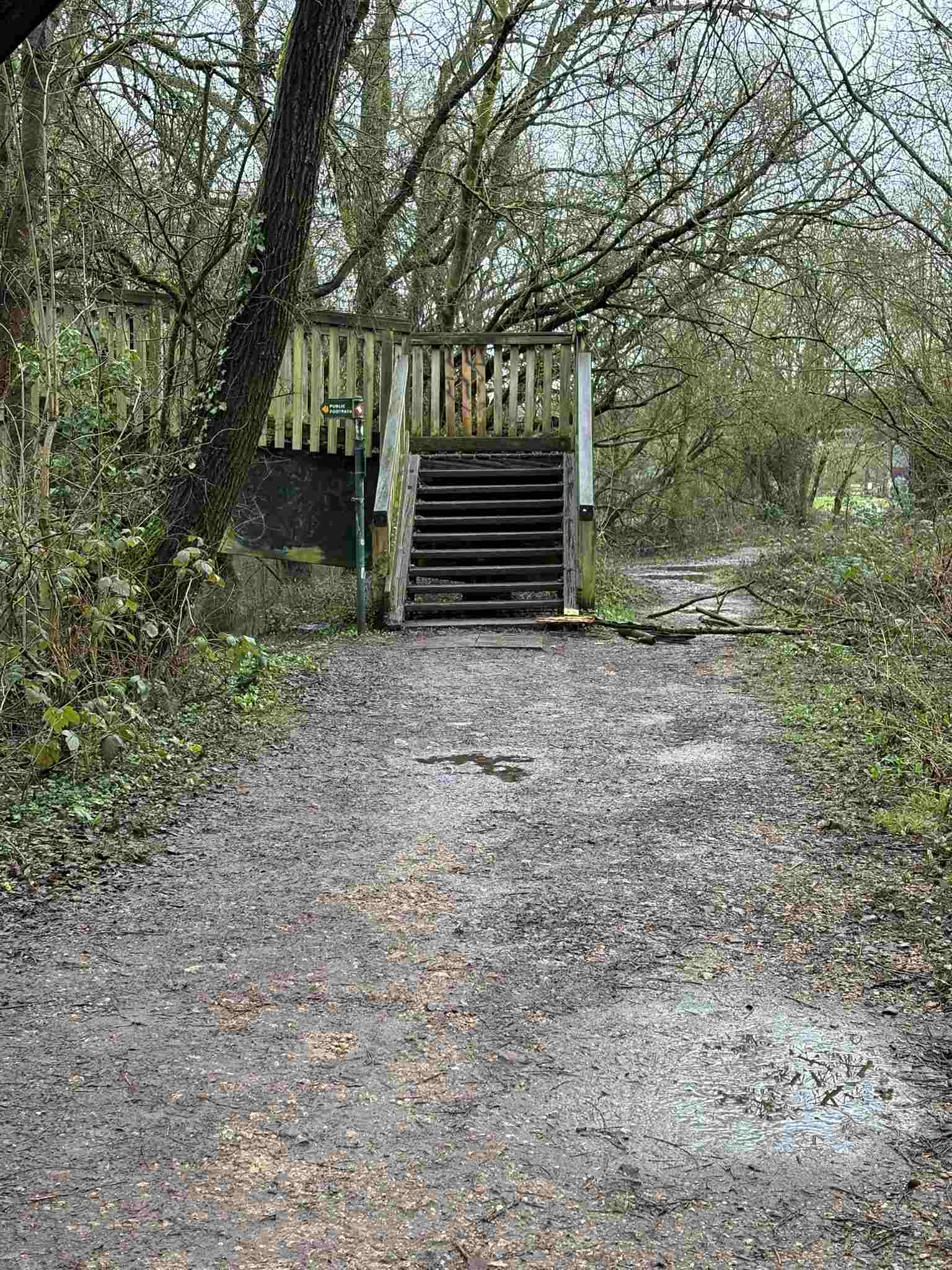  Approaching Colemansmoor Bridge from the A329M bridge, the path is clear but muddy